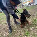 Gender из Новокузнецка, ищу на сайте открытые отношения
